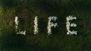 marko brecic kipyn0cfwlm unsplash